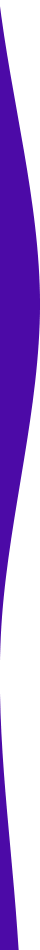 https://sandburgs.com/wp-content/uploads/2021/03/purple-detail-left.png